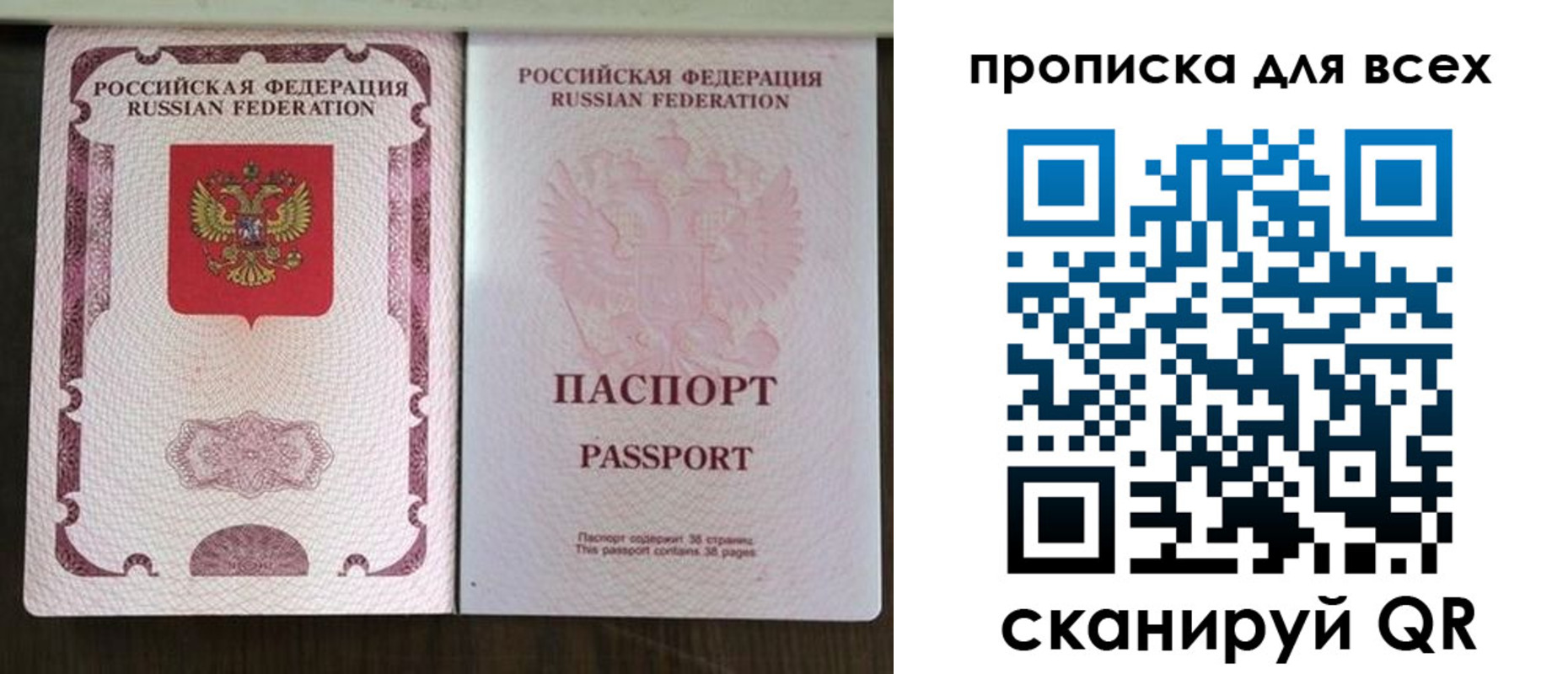 прописка в Оленегорске