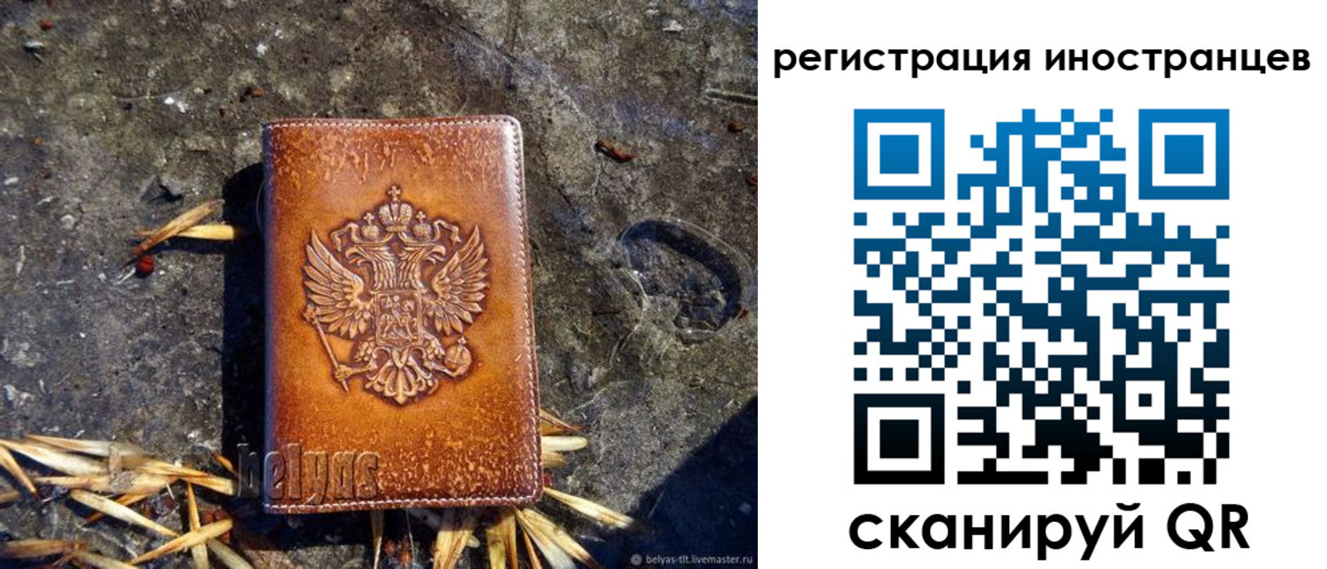 прописка регистрация в Оленегорске